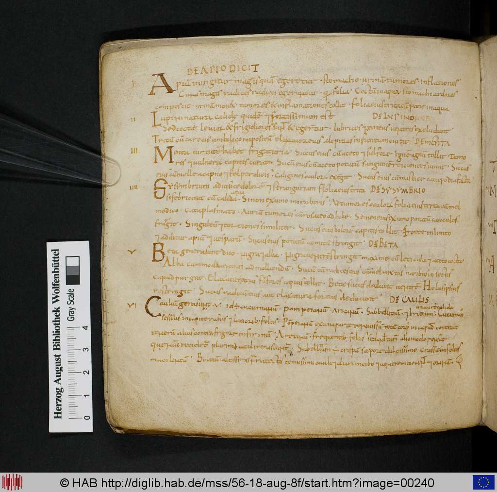 http://diglib.hab.de/mss/56-18-aug-8f/00240.jpg
