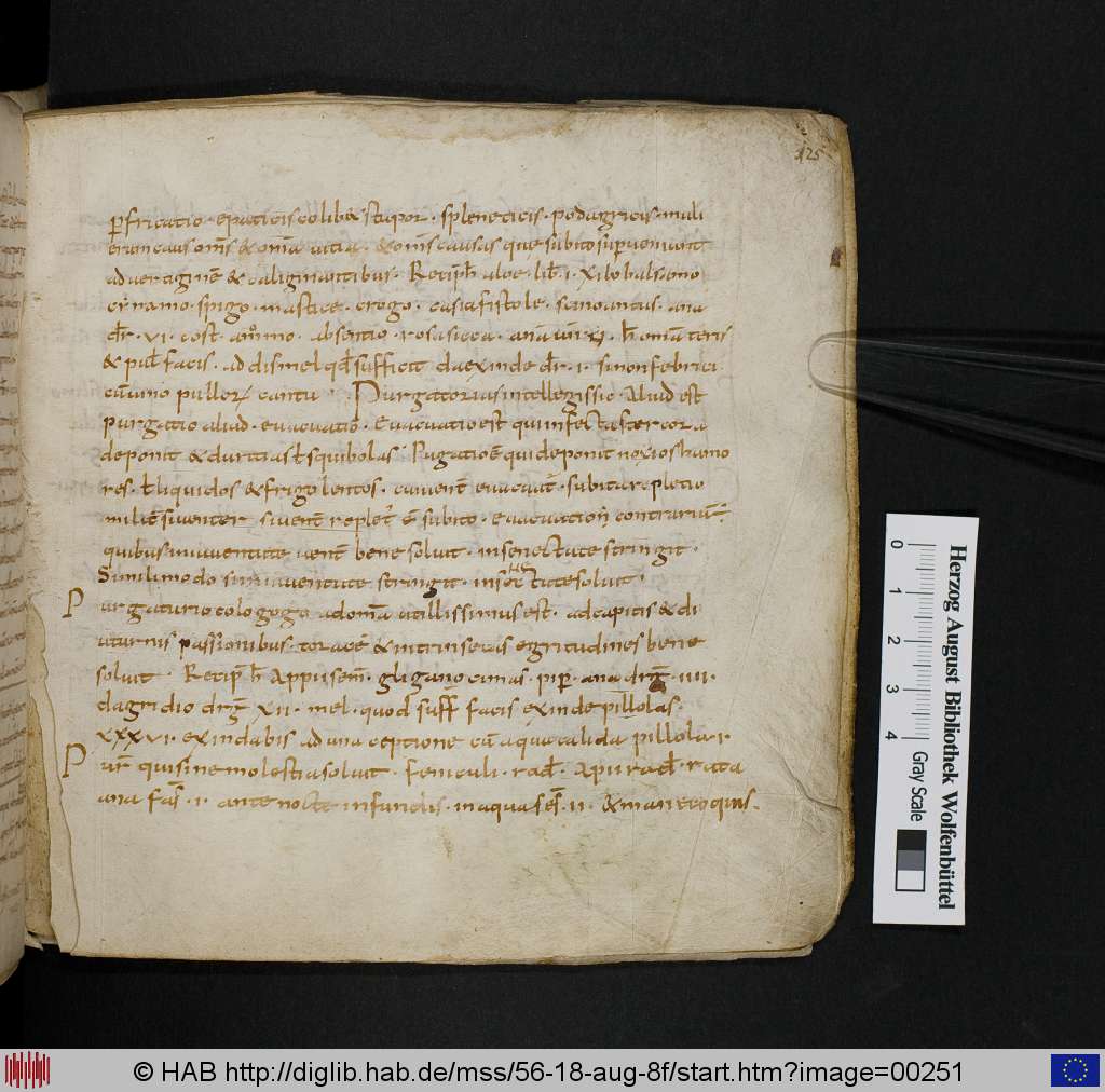 http://diglib.hab.de/mss/56-18-aug-8f/00251.jpg
