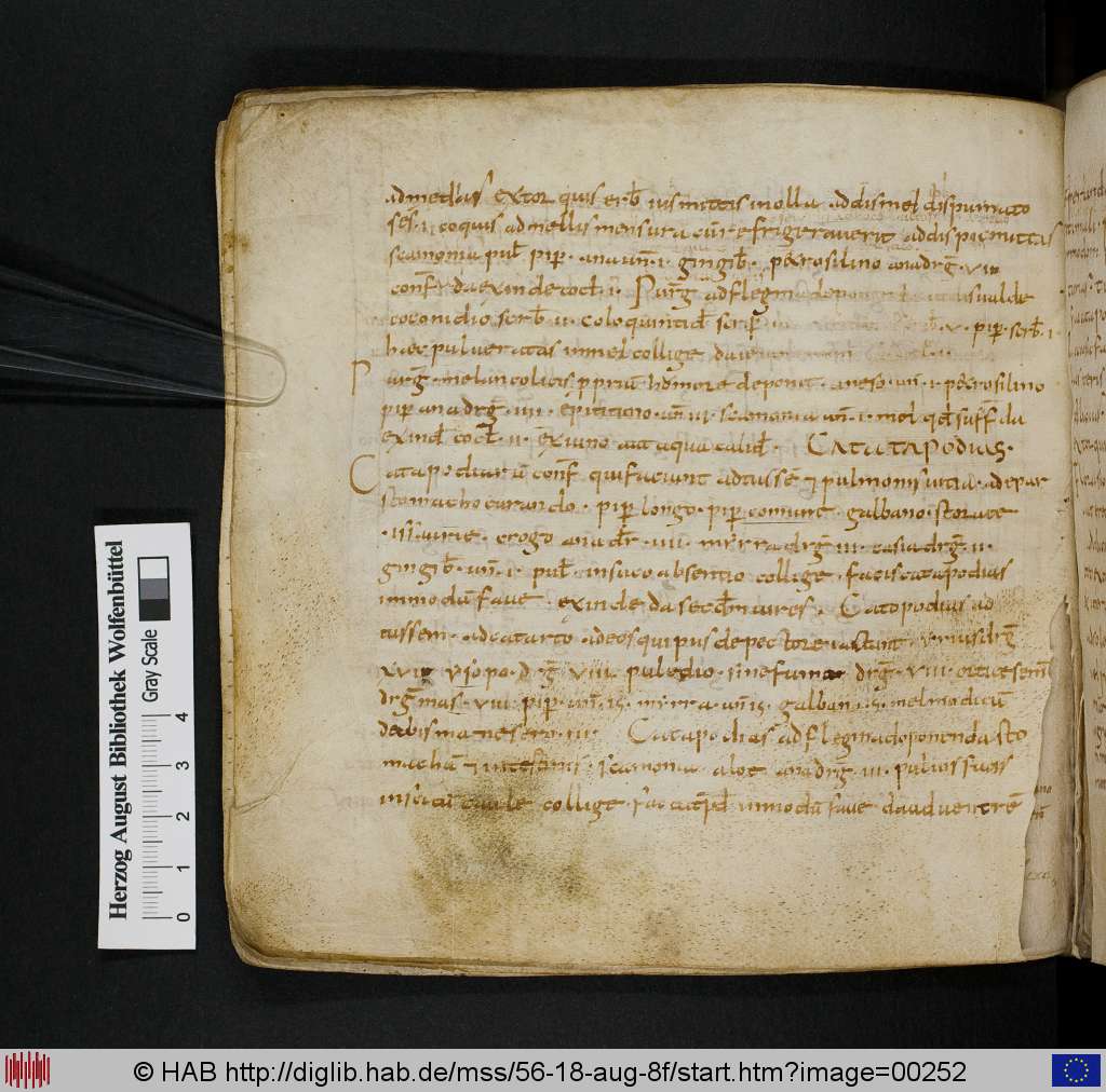 http://diglib.hab.de/mss/56-18-aug-8f/00252.jpg
