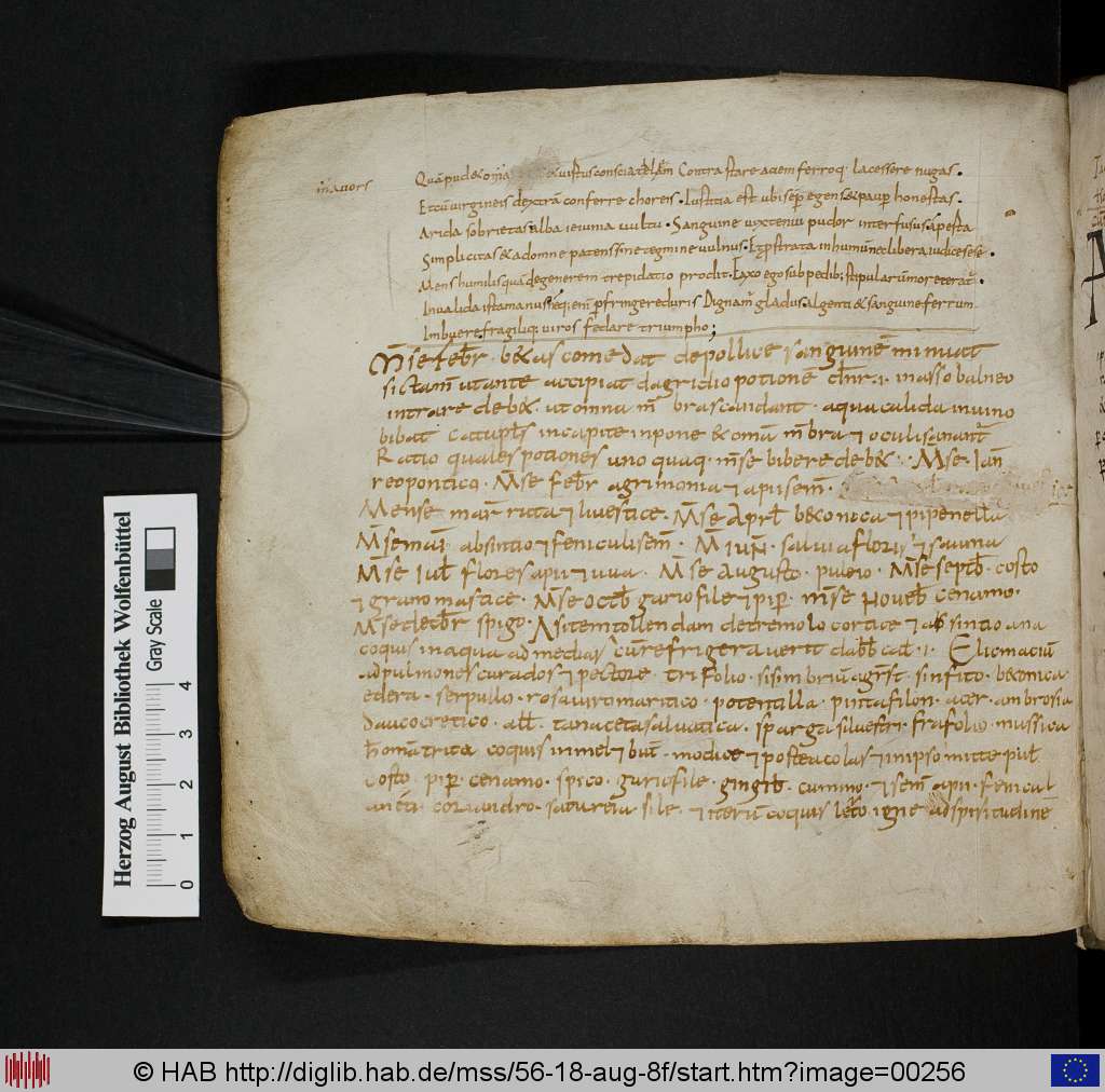 http://diglib.hab.de/mss/56-18-aug-8f/00256.jpg