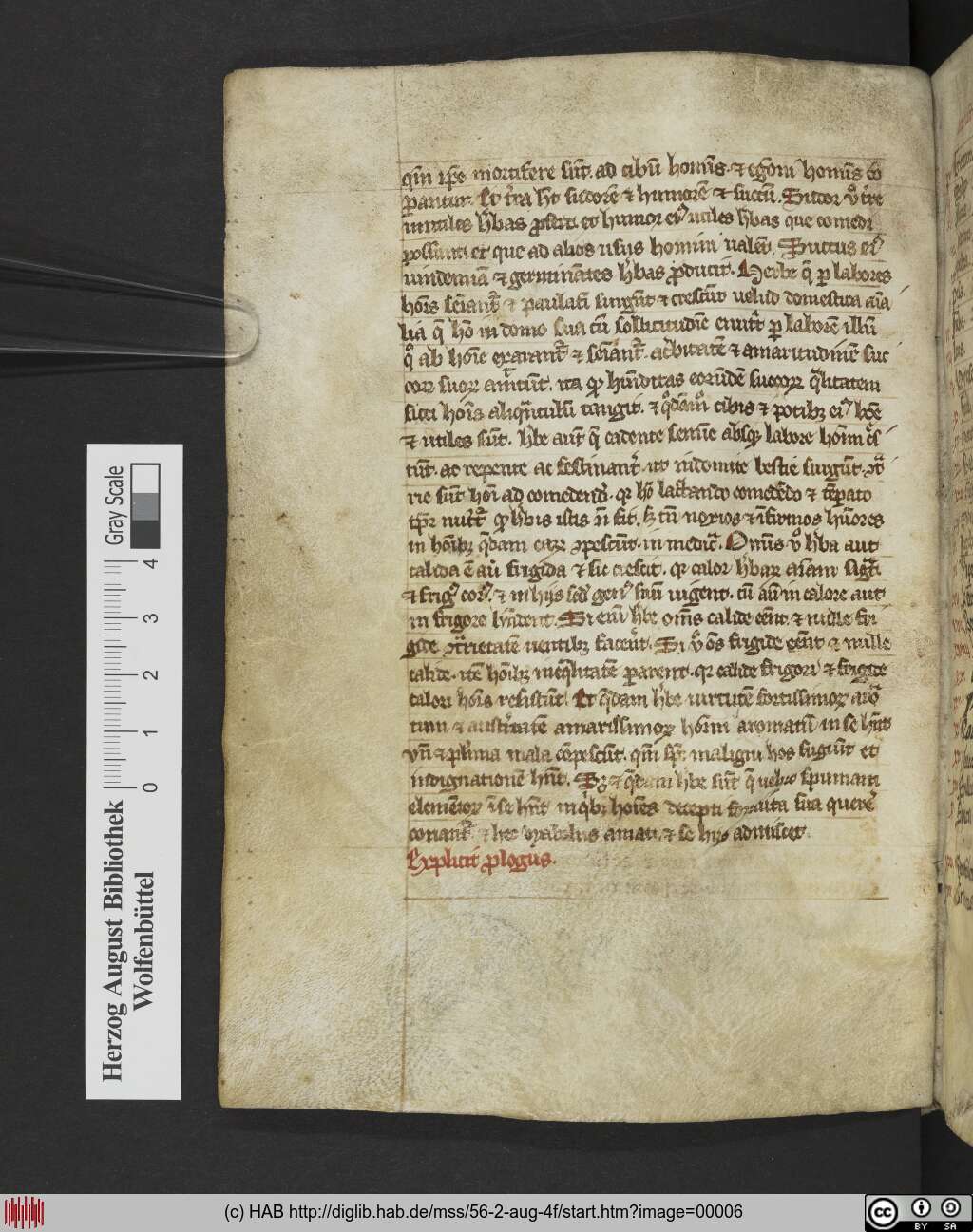 http://diglib.hab.de/mss/56-2-aug-4f/00006.jpg