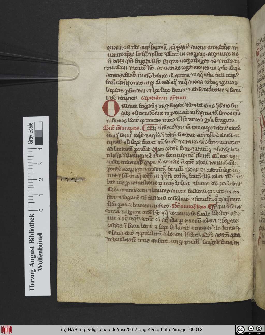 http://diglib.hab.de/mss/56-2-aug-4f/00012.jpg