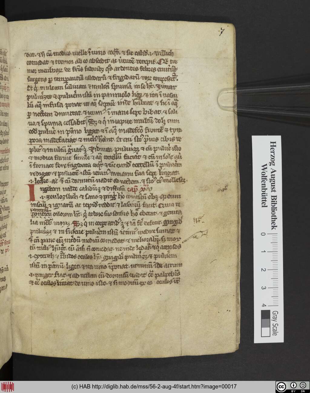 http://diglib.hab.de/mss/56-2-aug-4f/00017.jpg