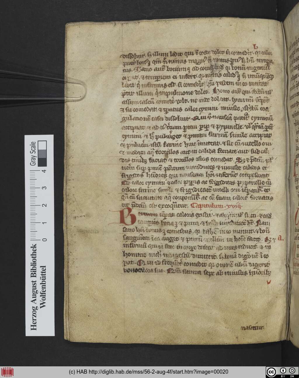 http://diglib.hab.de/mss/56-2-aug-4f/00020.jpg