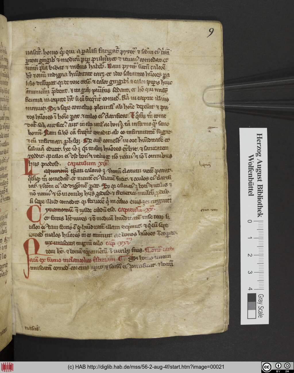 http://diglib.hab.de/mss/56-2-aug-4f/00021.jpg