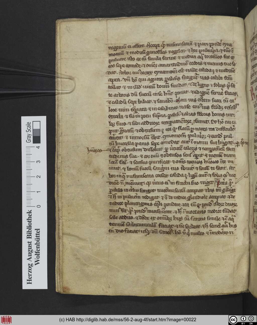 http://diglib.hab.de/mss/56-2-aug-4f/00022.jpg