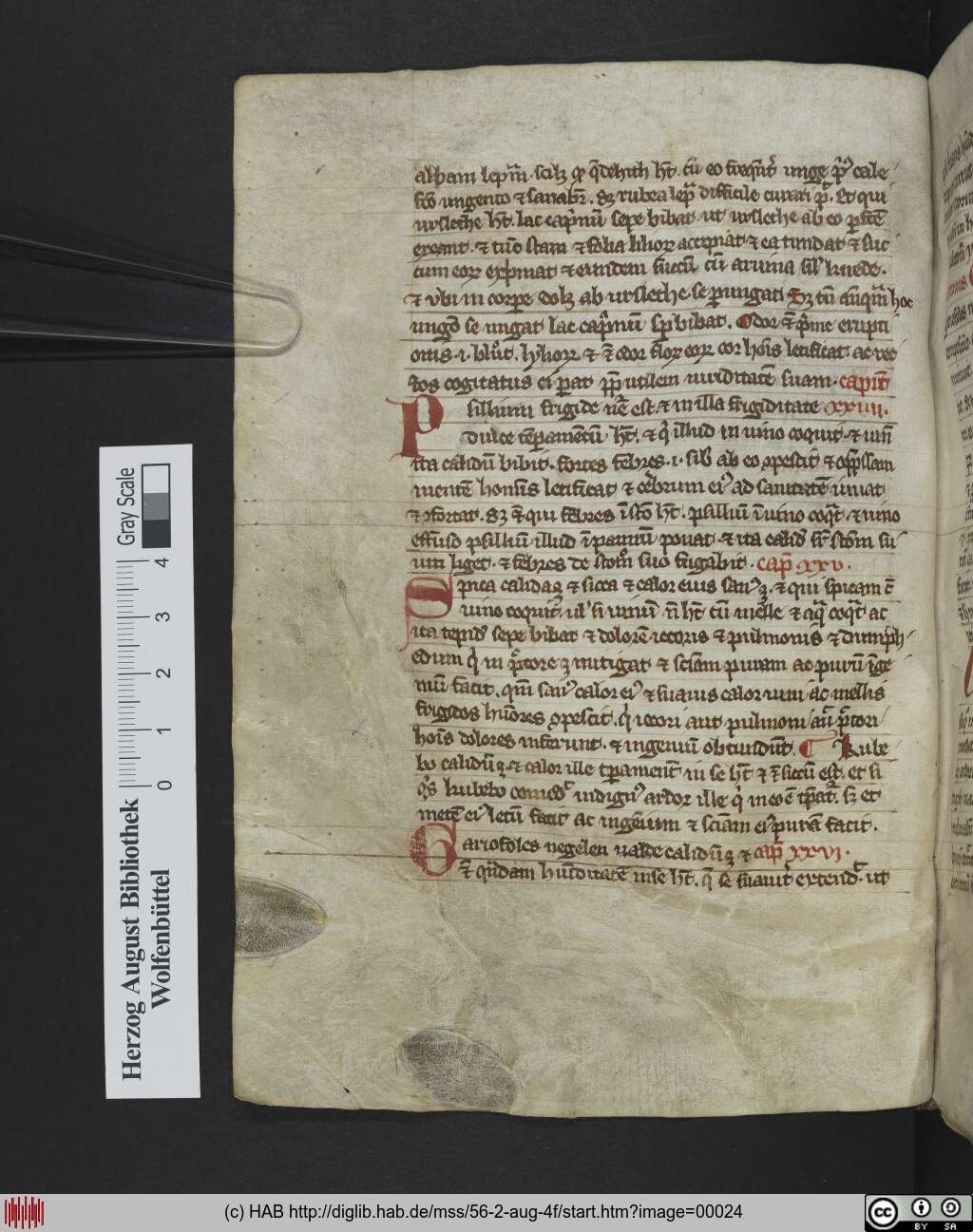 http://diglib.hab.de/mss/56-2-aug-4f/00024.jpg