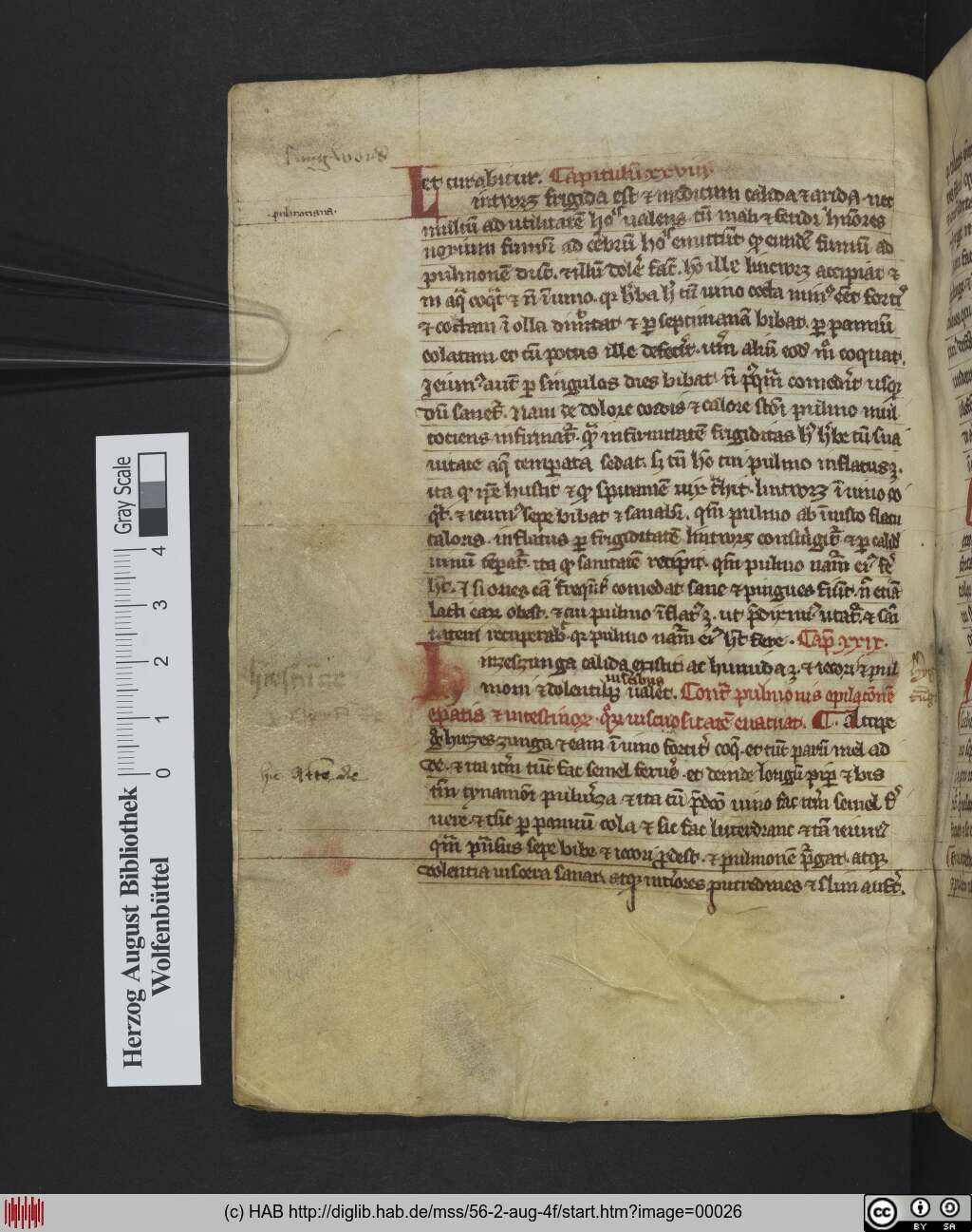 http://diglib.hab.de/mss/56-2-aug-4f/00026.jpg