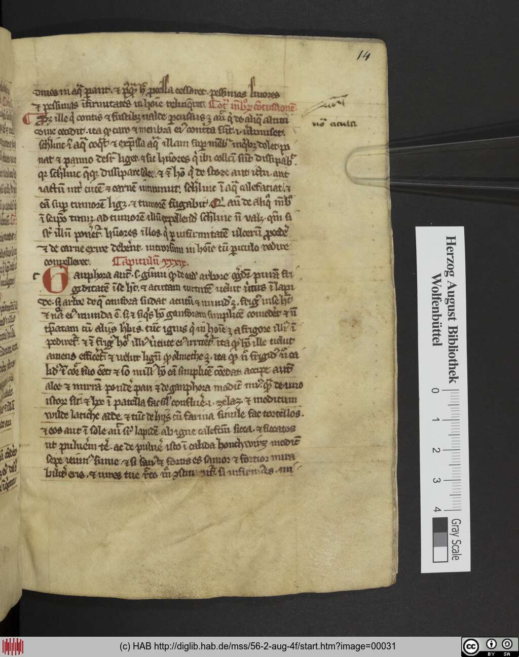 http://diglib.hab.de/mss/56-2-aug-4f/00031.jpg