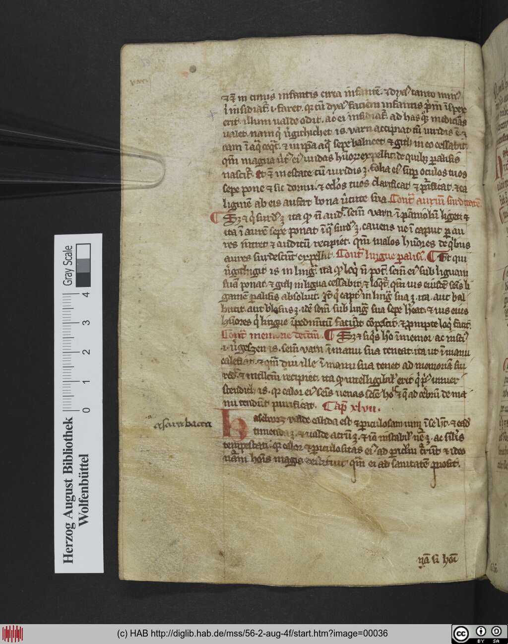 http://diglib.hab.de/mss/56-2-aug-4f/00036.jpg