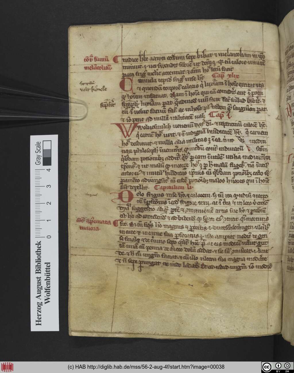 http://diglib.hab.de/mss/56-2-aug-4f/00038.jpg