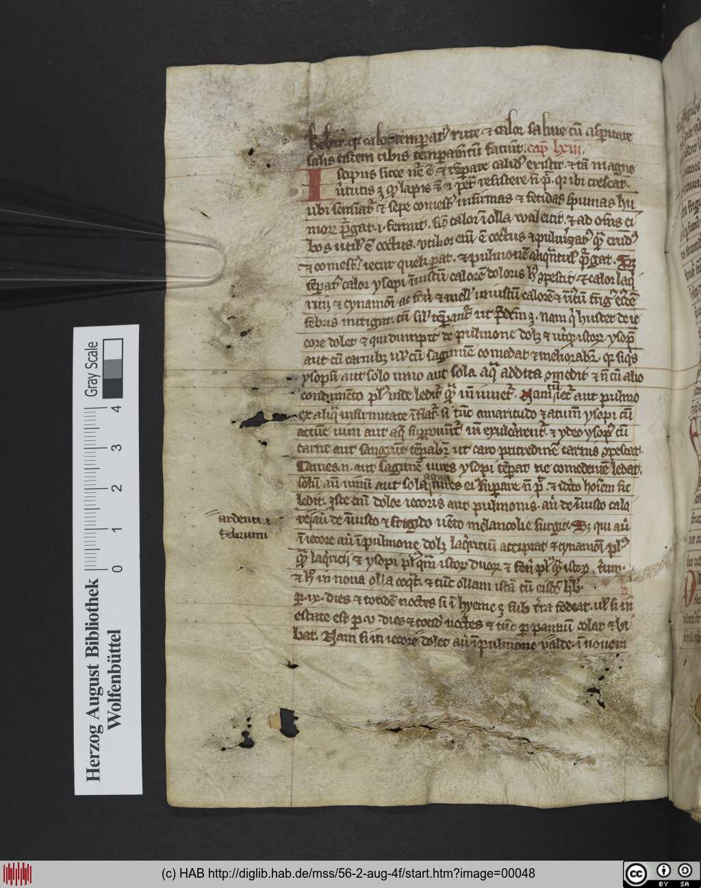 http://diglib.hab.de/mss/56-2-aug-4f/00048.jpg