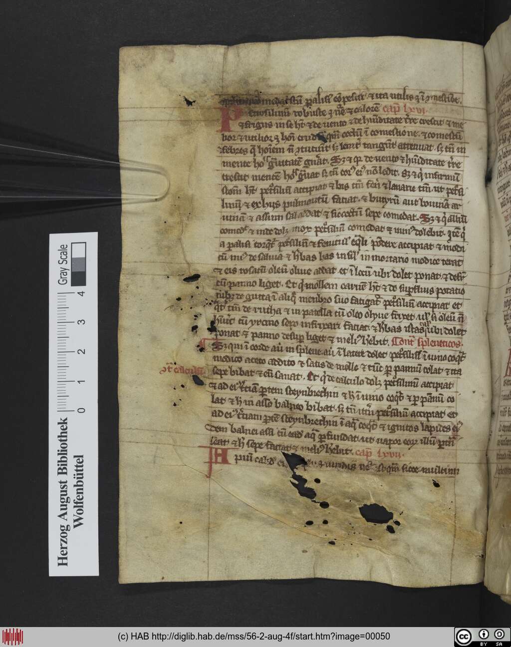 http://diglib.hab.de/mss/56-2-aug-4f/00050.jpg