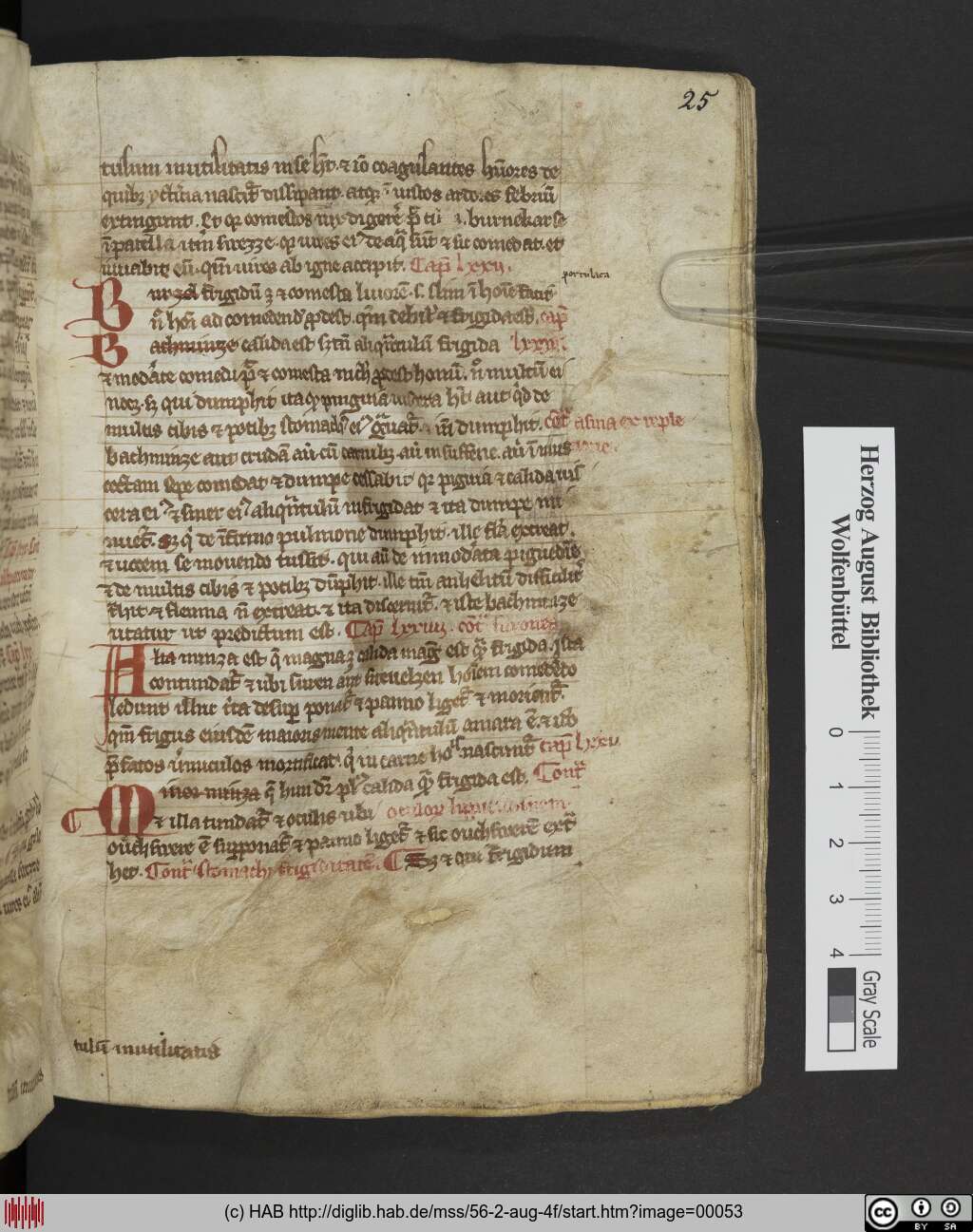 http://diglib.hab.de/mss/56-2-aug-4f/00053.jpg