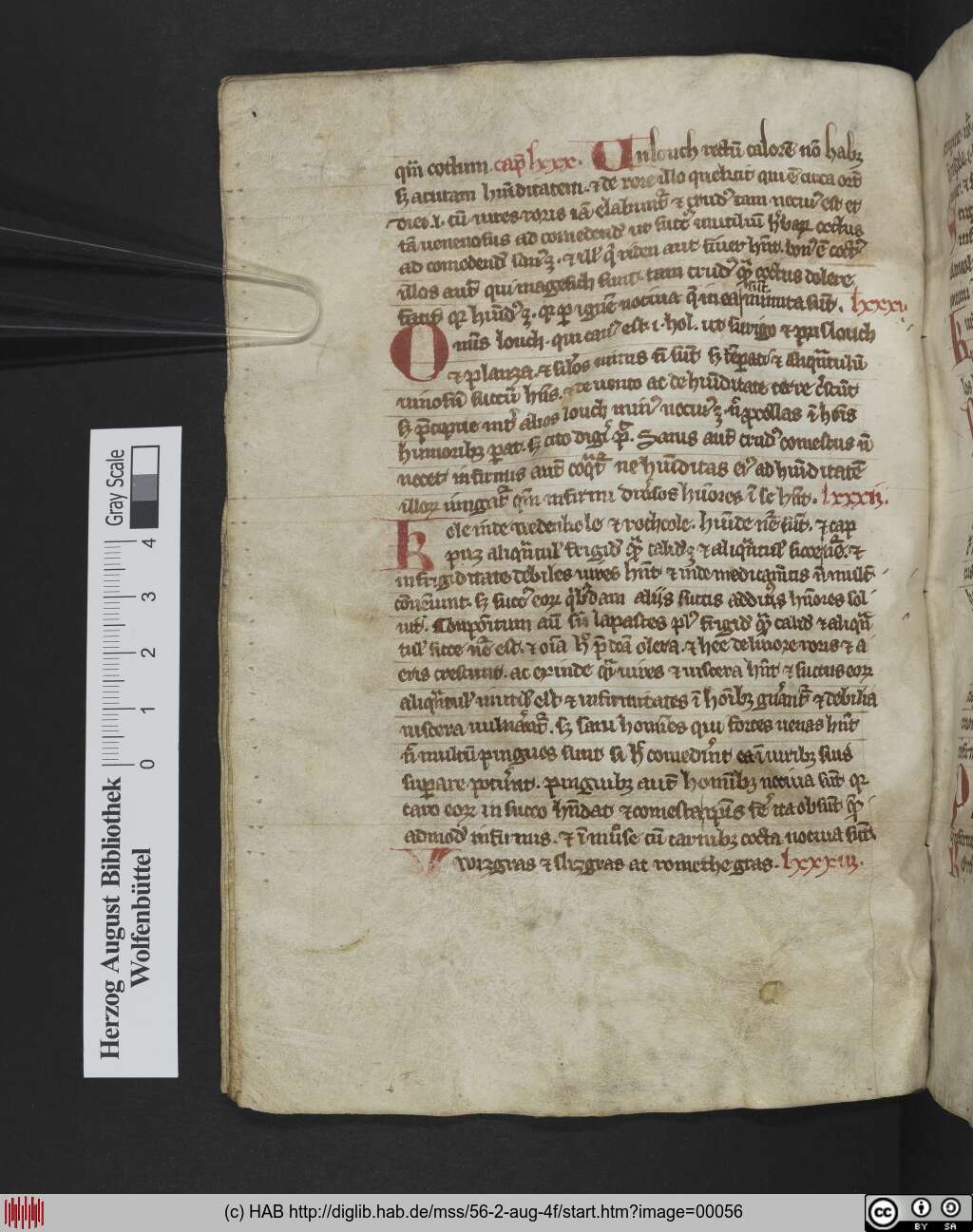 http://diglib.hab.de/mss/56-2-aug-4f/00056.jpg