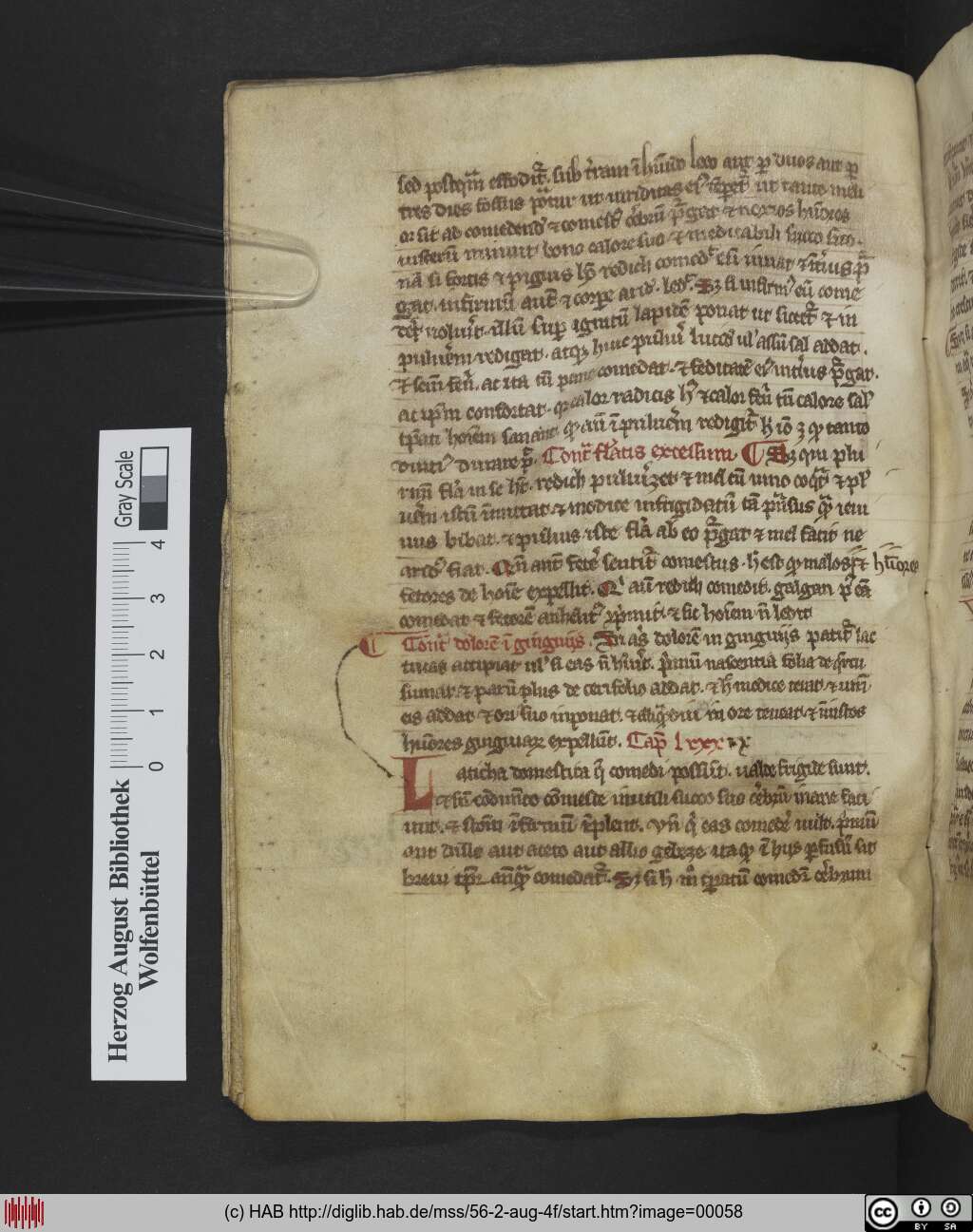 http://diglib.hab.de/mss/56-2-aug-4f/00058.jpg