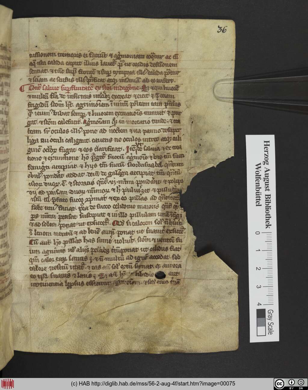 http://diglib.hab.de/mss/56-2-aug-4f/00075.jpg