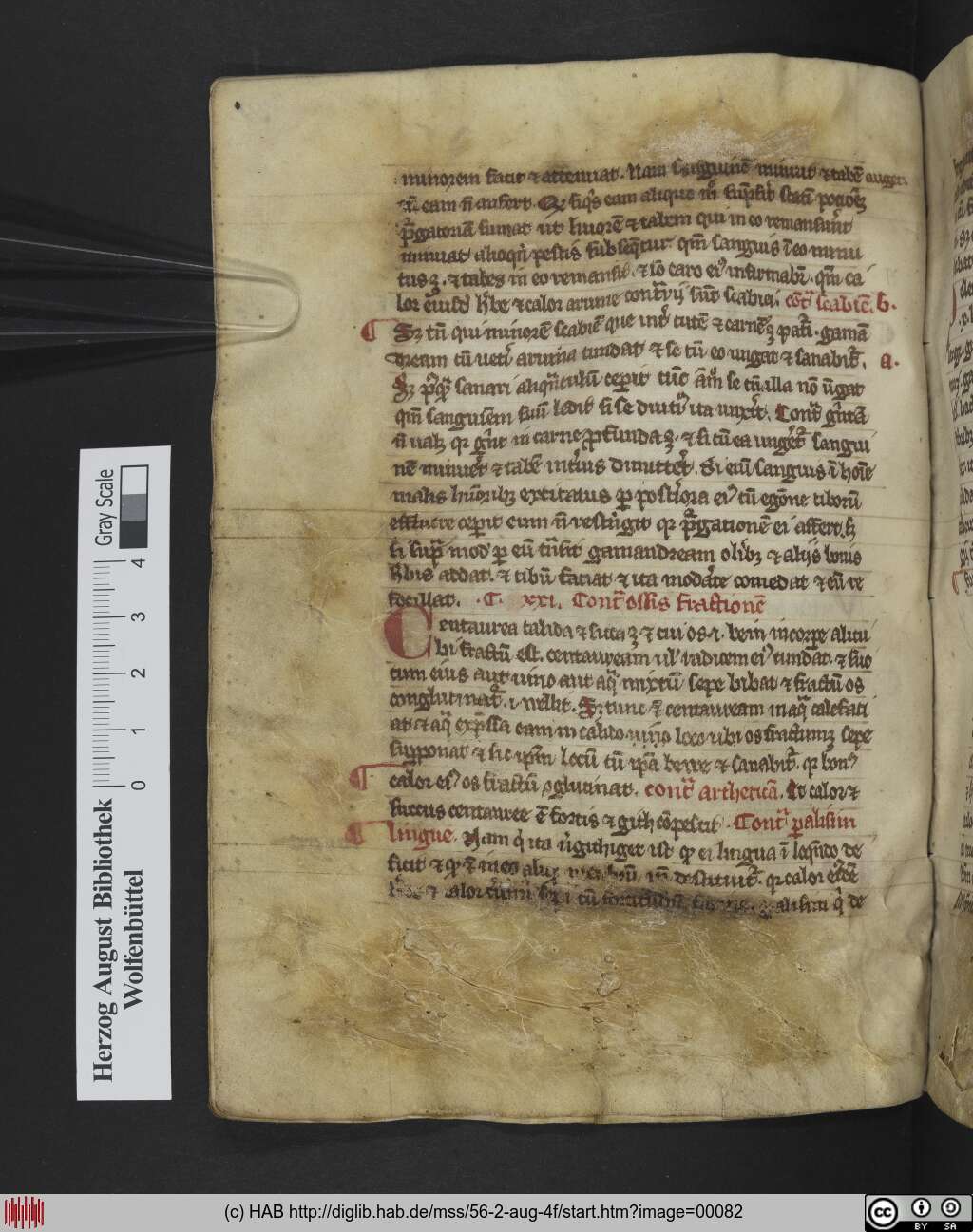 http://diglib.hab.de/mss/56-2-aug-4f/00082.jpg