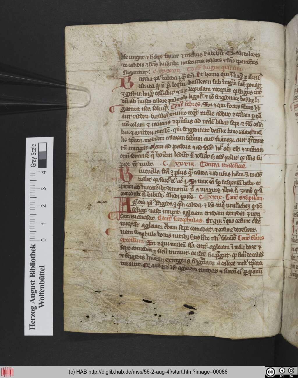 http://diglib.hab.de/mss/56-2-aug-4f/00088.jpg