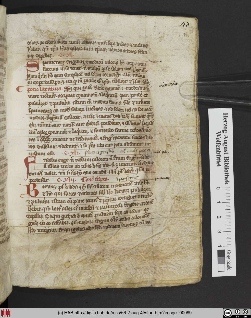 http://diglib.hab.de/mss/56-2-aug-4f/00089.jpg