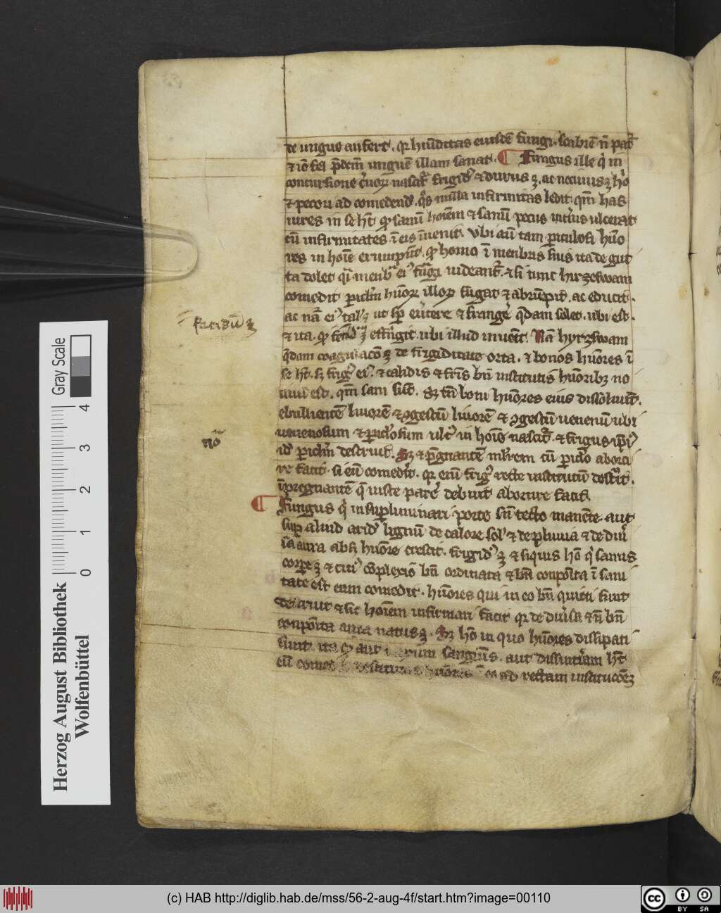 http://diglib.hab.de/mss/56-2-aug-4f/00110.jpg