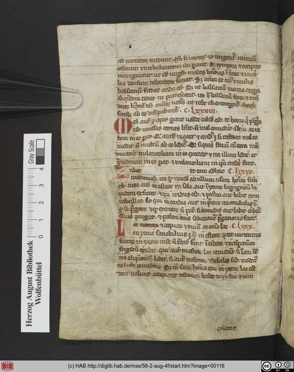 http://diglib.hab.de/mss/56-2-aug-4f/00116.jpg