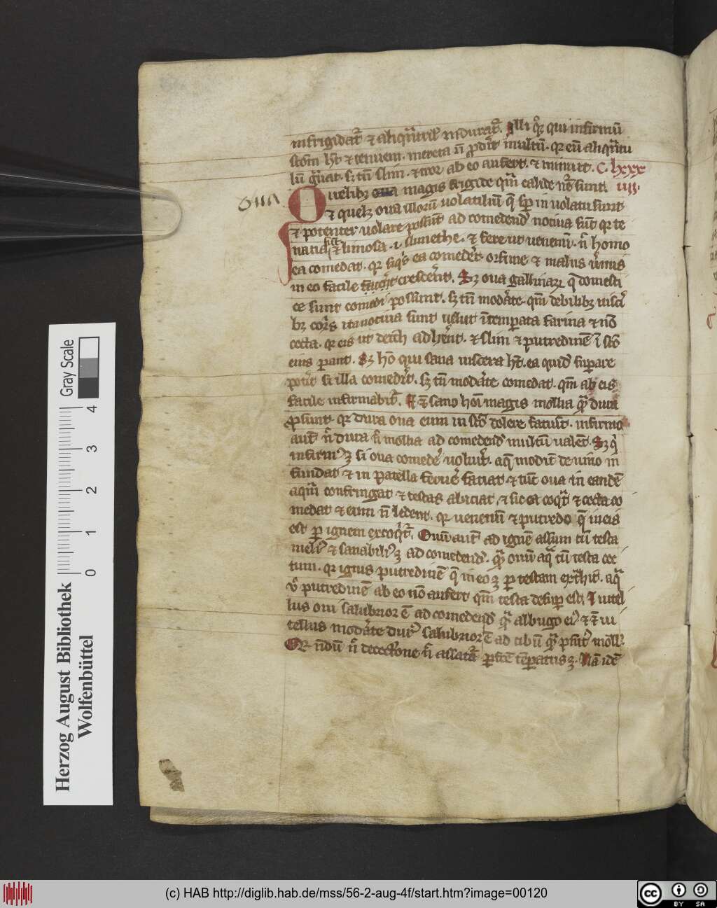 http://diglib.hab.de/mss/56-2-aug-4f/00120.jpg