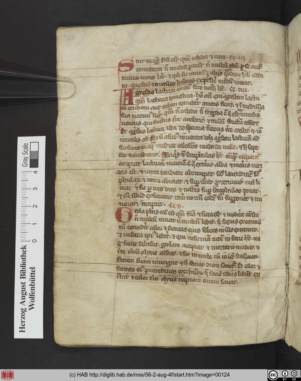 http://diglib.hab.de/mss/56-2-aug-4f/00124.jpg