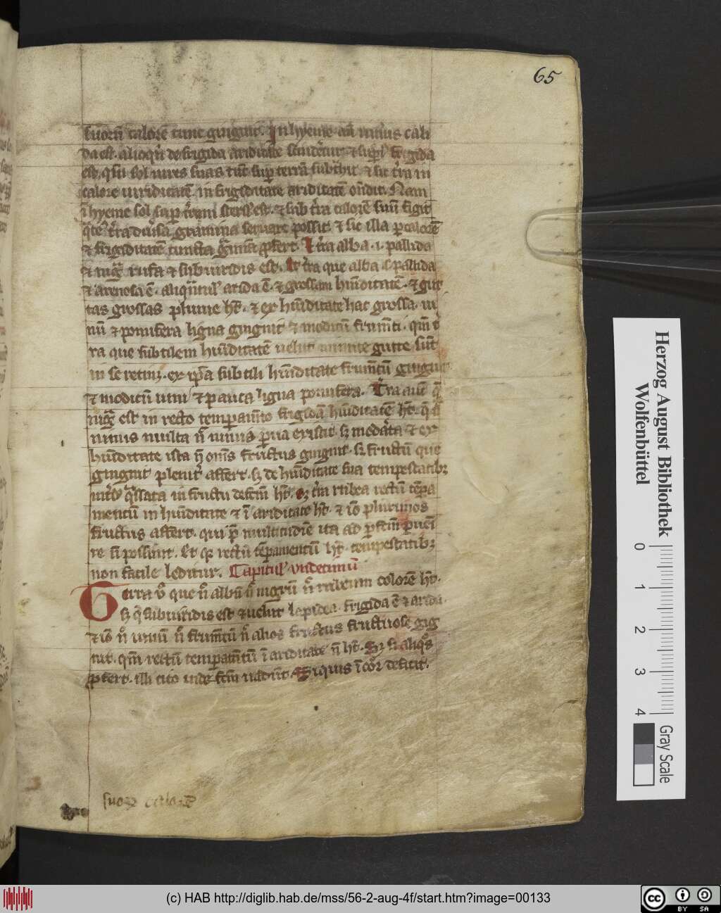 http://diglib.hab.de/mss/56-2-aug-4f/00133.jpg