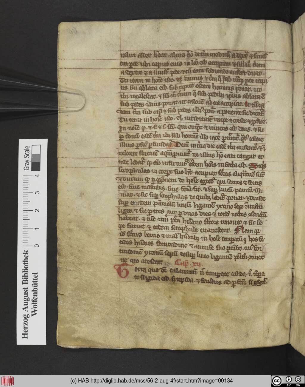 http://diglib.hab.de/mss/56-2-aug-4f/00134.jpg
