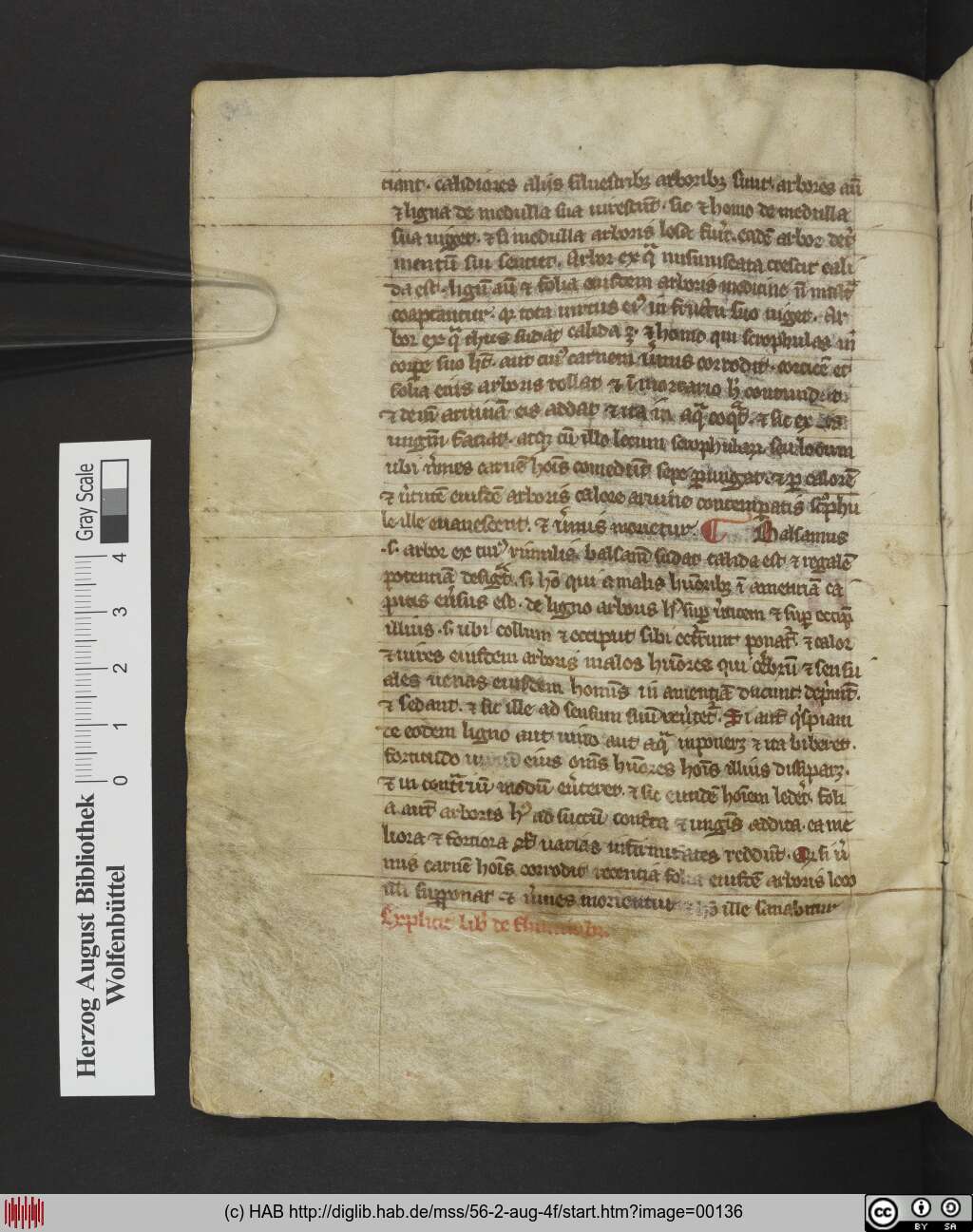 http://diglib.hab.de/mss/56-2-aug-4f/00136.jpg