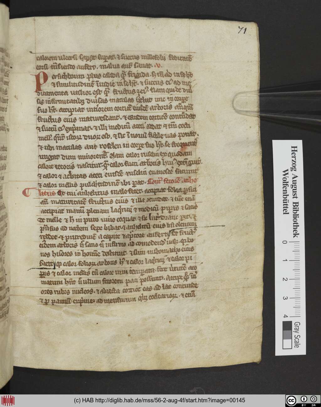 http://diglib.hab.de/mss/56-2-aug-4f/00145.jpg