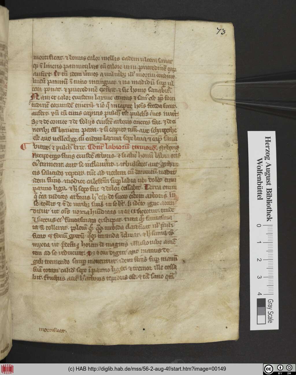 http://diglib.hab.de/mss/56-2-aug-4f/00149.jpg