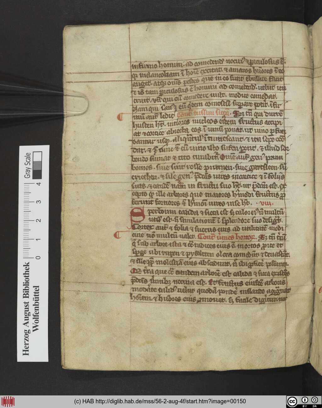 http://diglib.hab.de/mss/56-2-aug-4f/00150.jpg