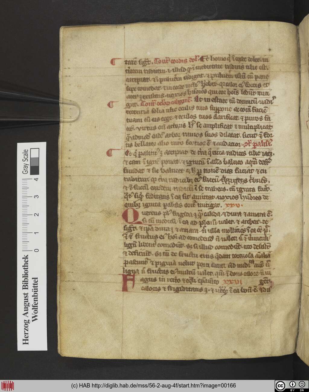 http://diglib.hab.de/mss/56-2-aug-4f/00166.jpg