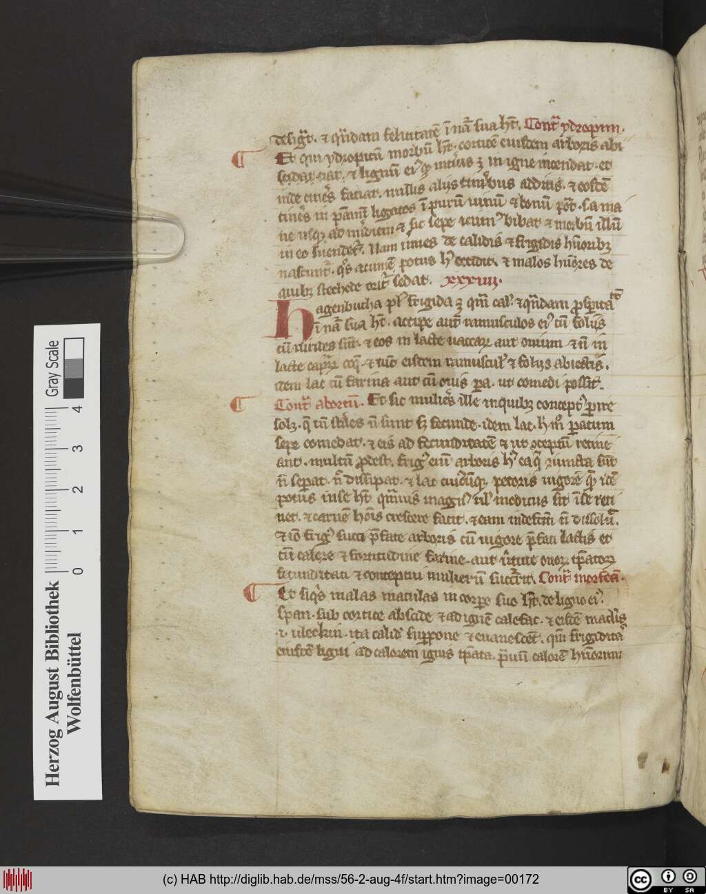 http://diglib.hab.de/mss/56-2-aug-4f/00172.jpg