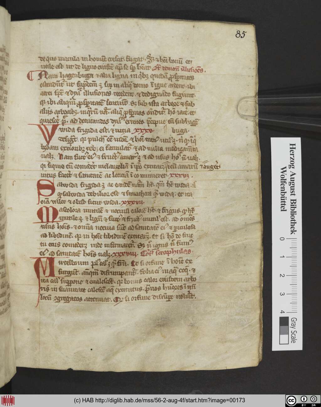 http://diglib.hab.de/mss/56-2-aug-4f/00173.jpg