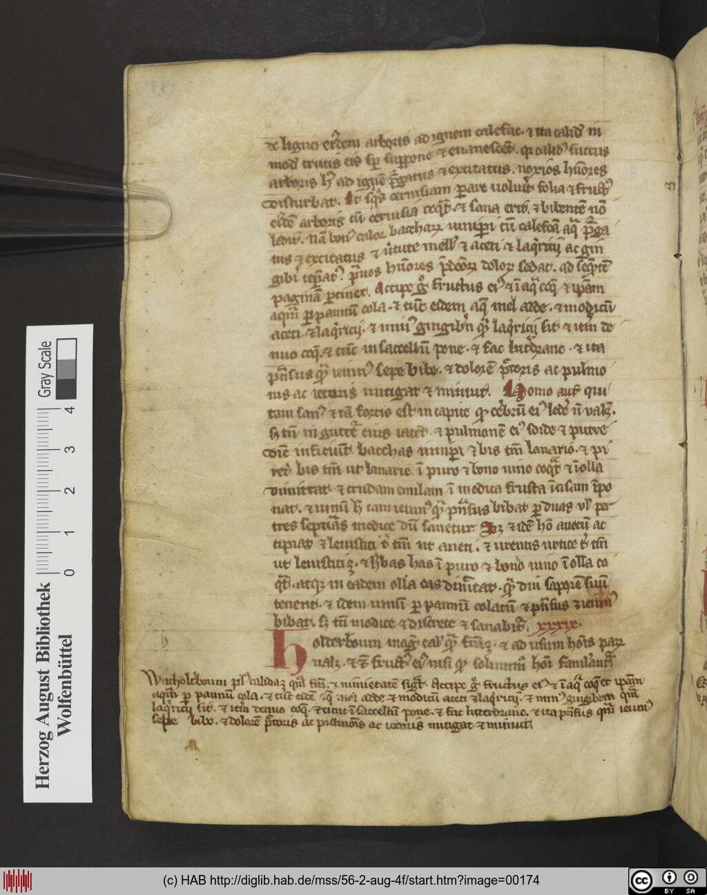 http://diglib.hab.de/mss/56-2-aug-4f/00174.jpg