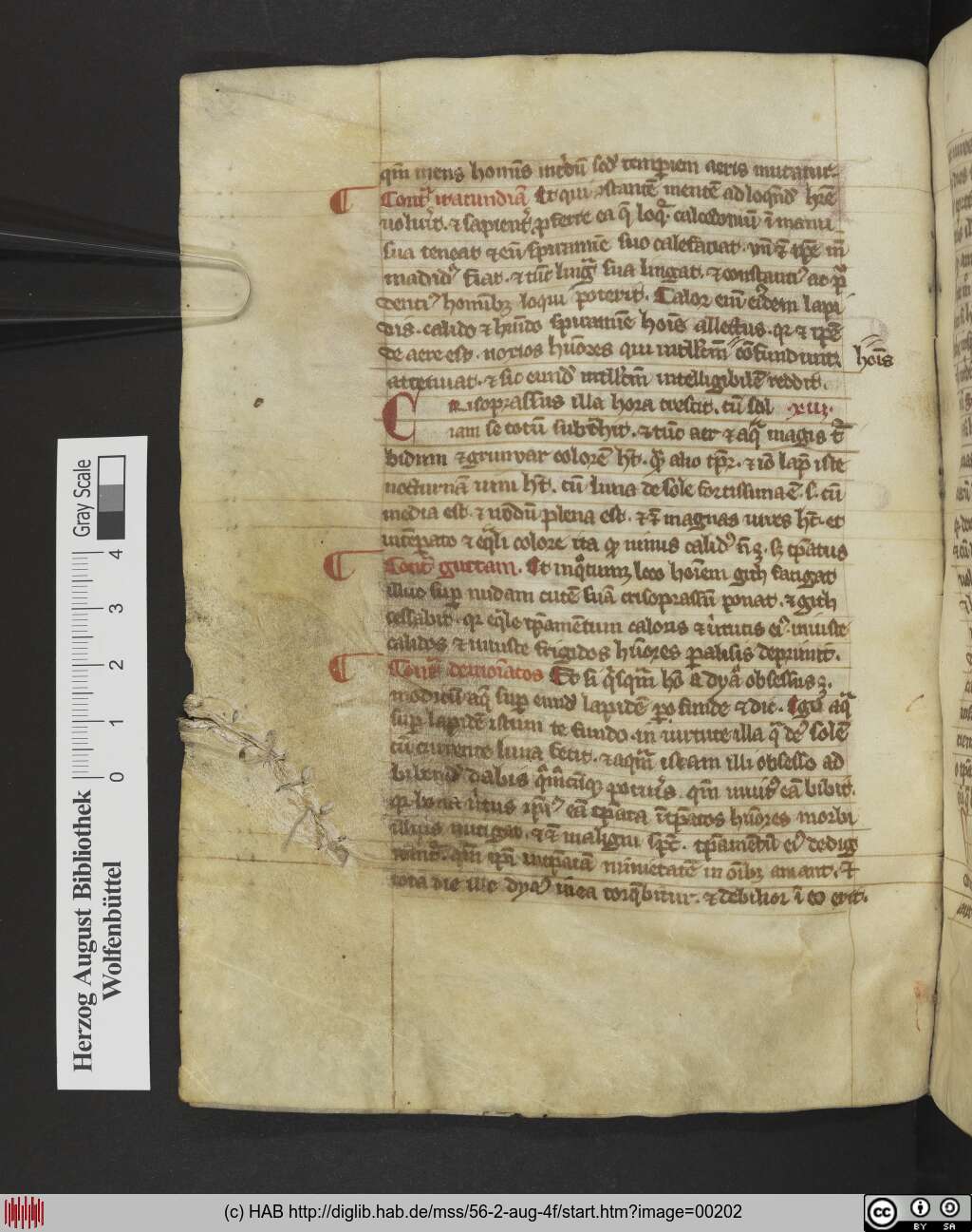http://diglib.hab.de/mss/56-2-aug-4f/00202.jpg