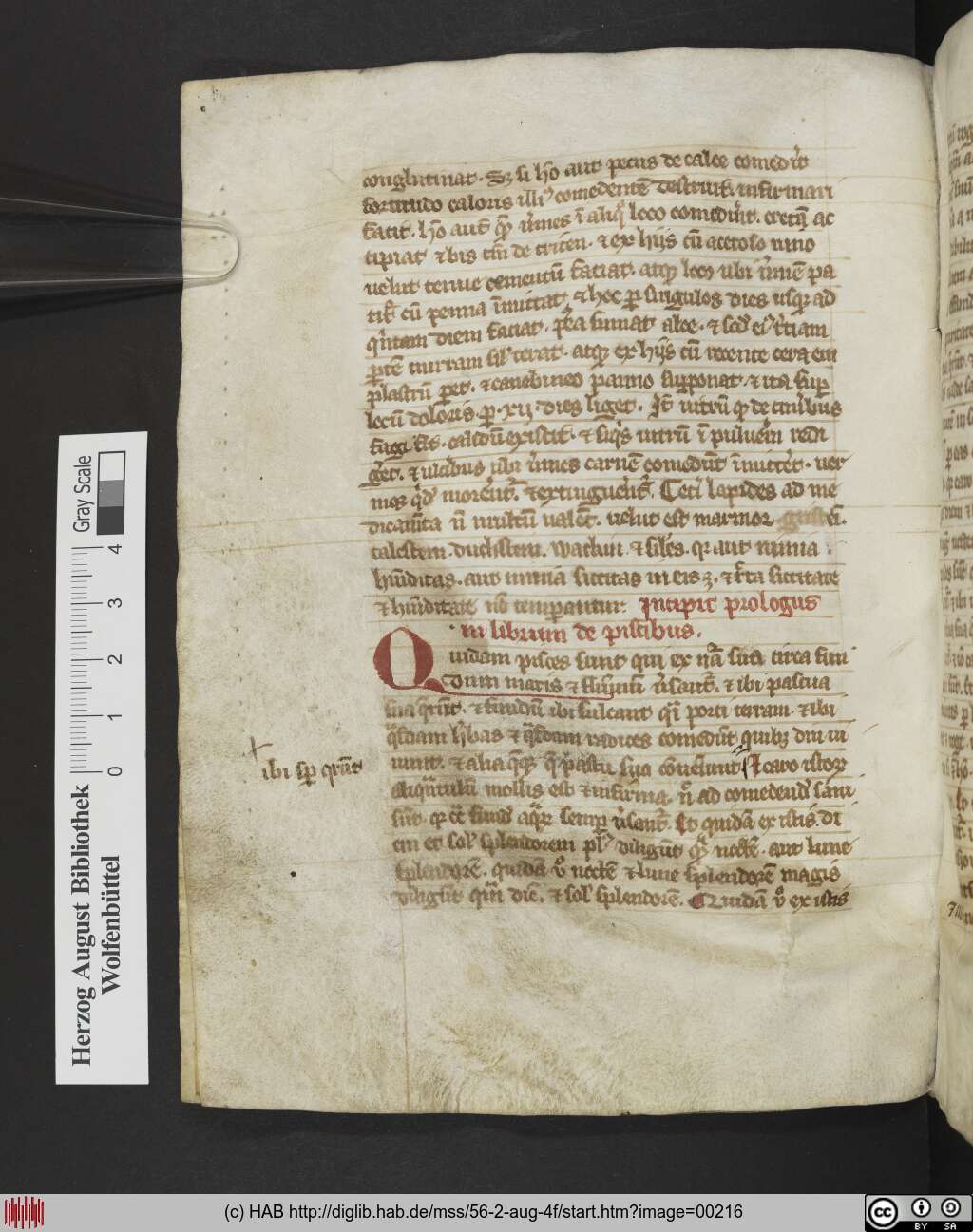 http://diglib.hab.de/mss/56-2-aug-4f/00216.jpg