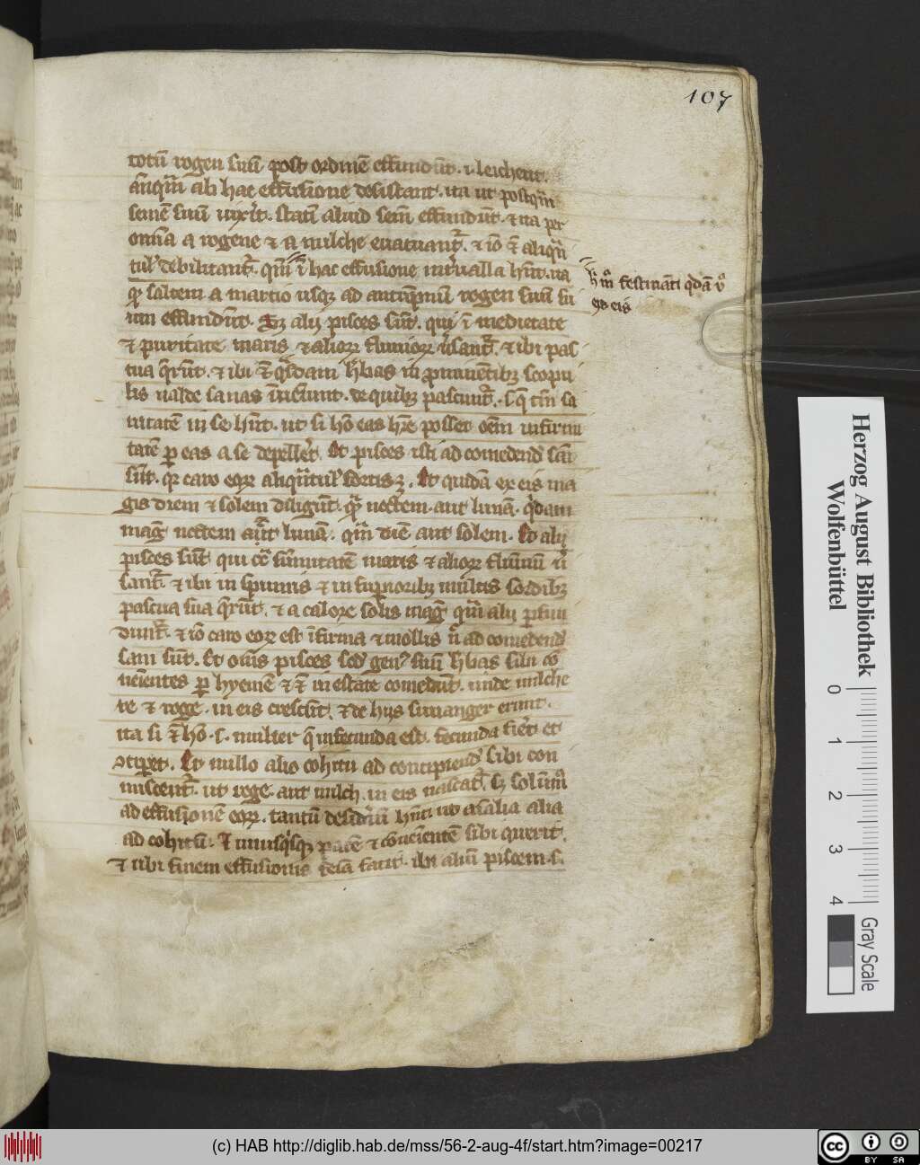 http://diglib.hab.de/mss/56-2-aug-4f/00217.jpg