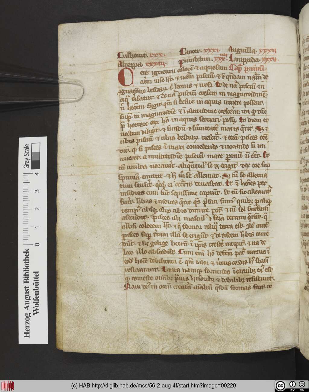 http://diglib.hab.de/mss/56-2-aug-4f/00220.jpg