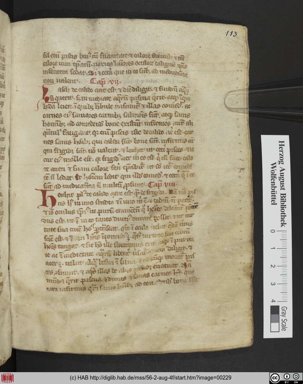 http://diglib.hab.de/mss/56-2-aug-4f/00229.jpg