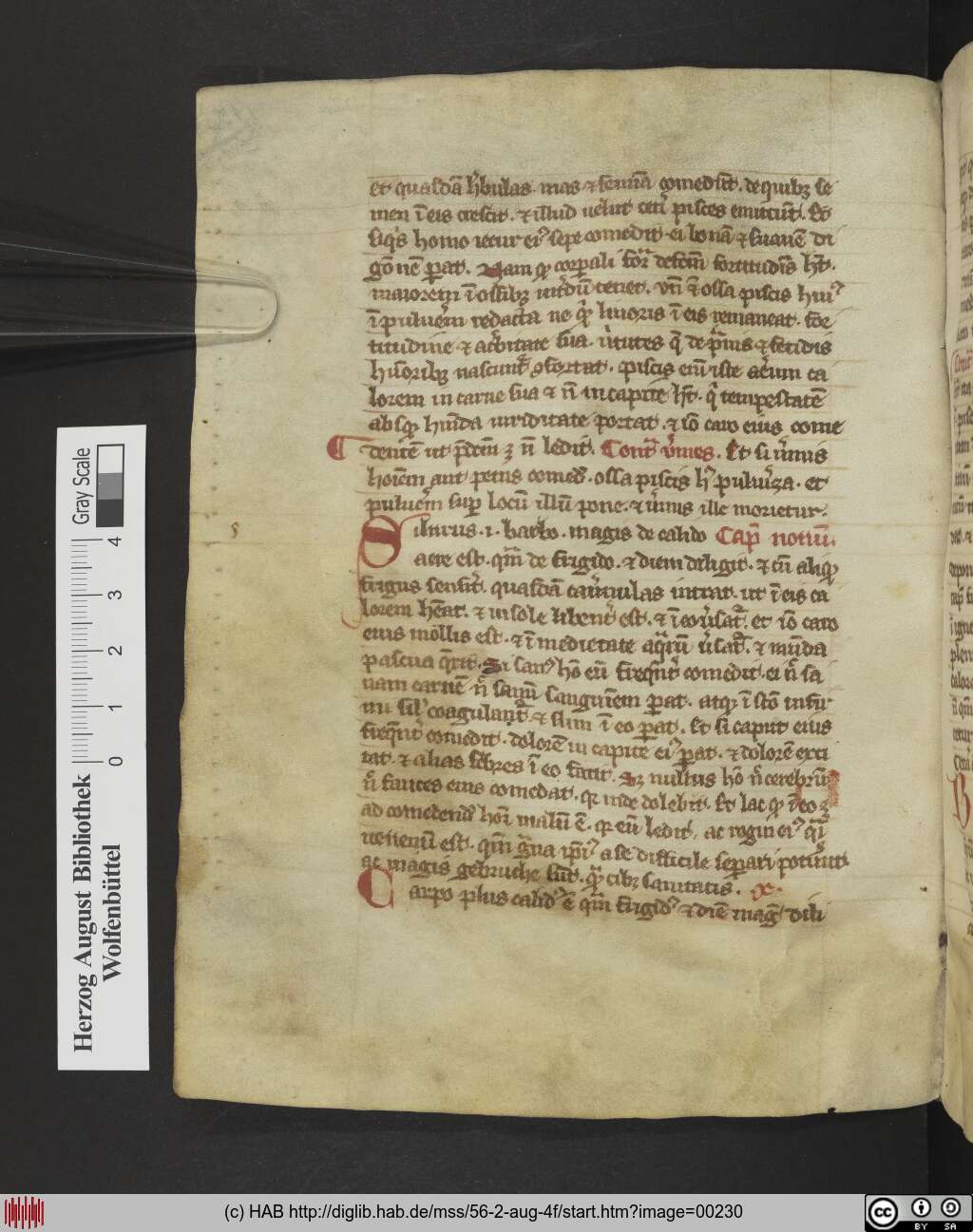 http://diglib.hab.de/mss/56-2-aug-4f/00230.jpg