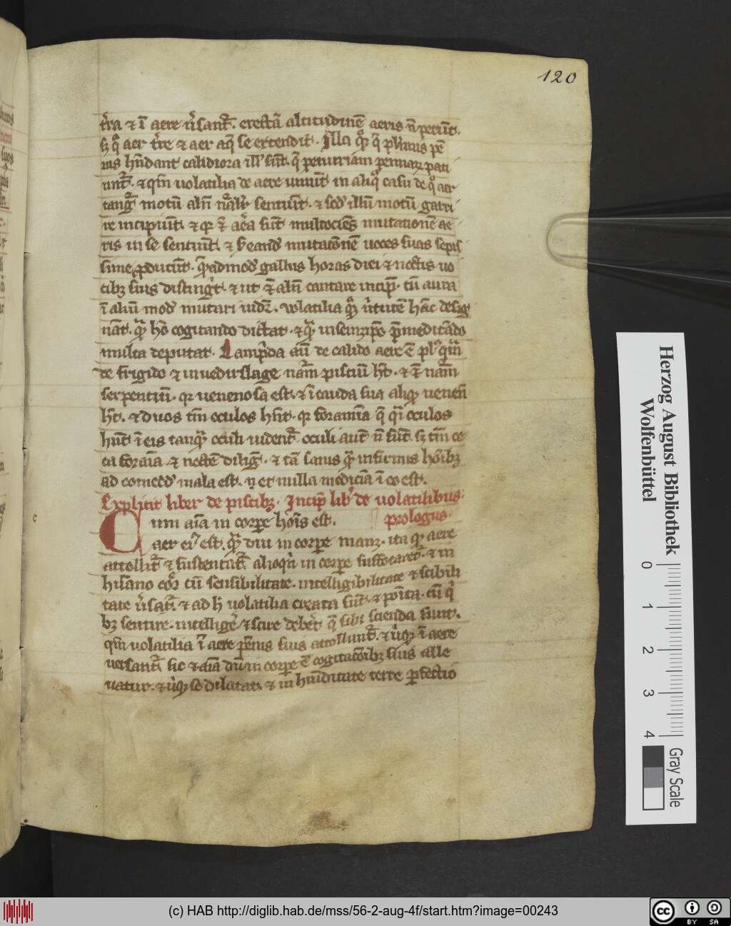 http://diglib.hab.de/mss/56-2-aug-4f/00243.jpg