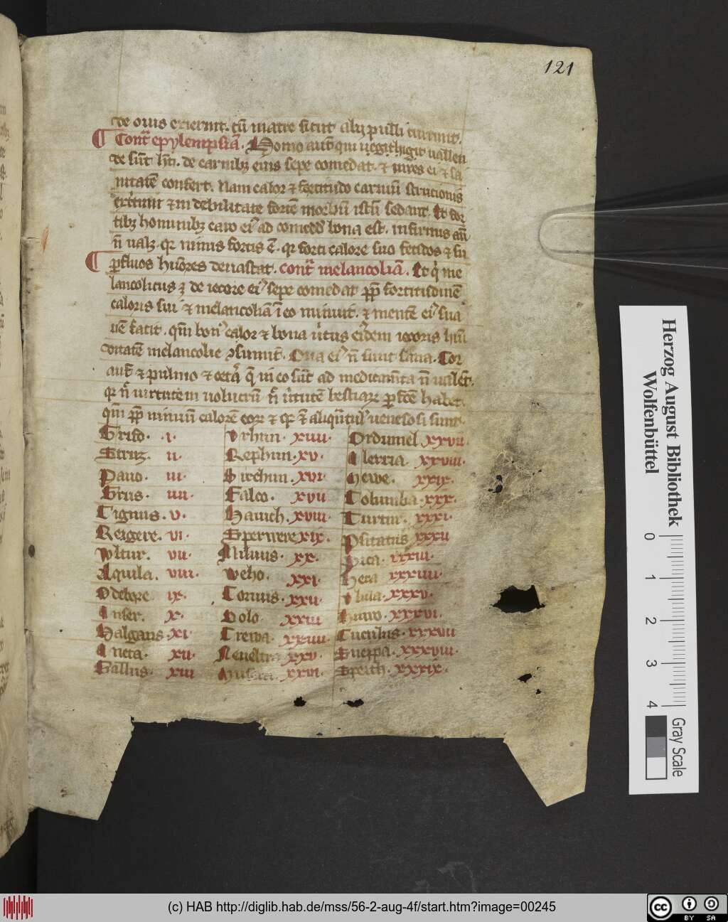 http://diglib.hab.de/mss/56-2-aug-4f/00245.jpg