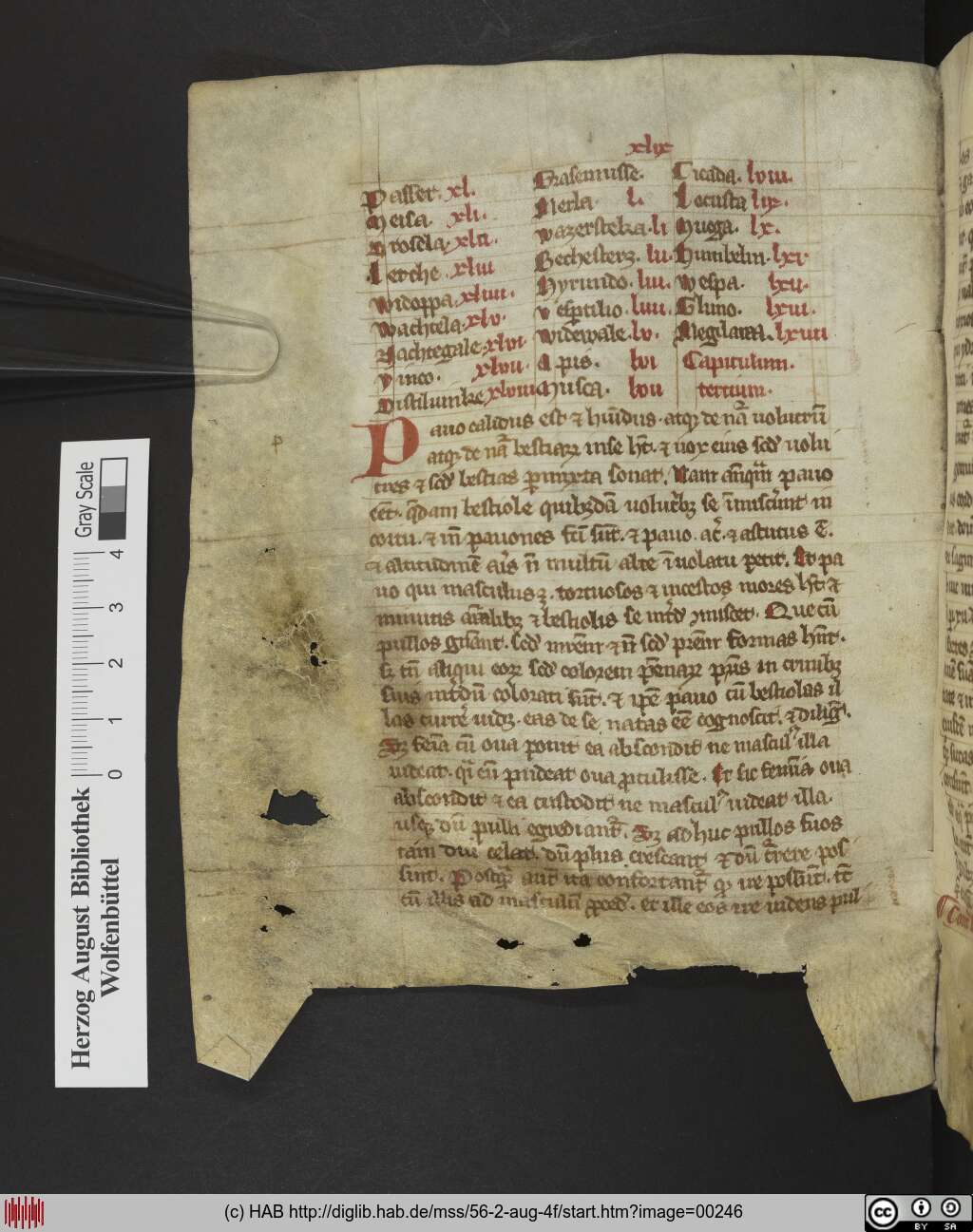 http://diglib.hab.de/mss/56-2-aug-4f/00246.jpg