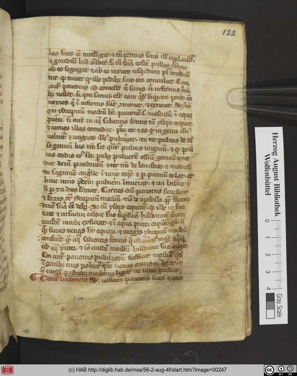 http://diglib.hab.de/mss/56-2-aug-4f/00247.jpg