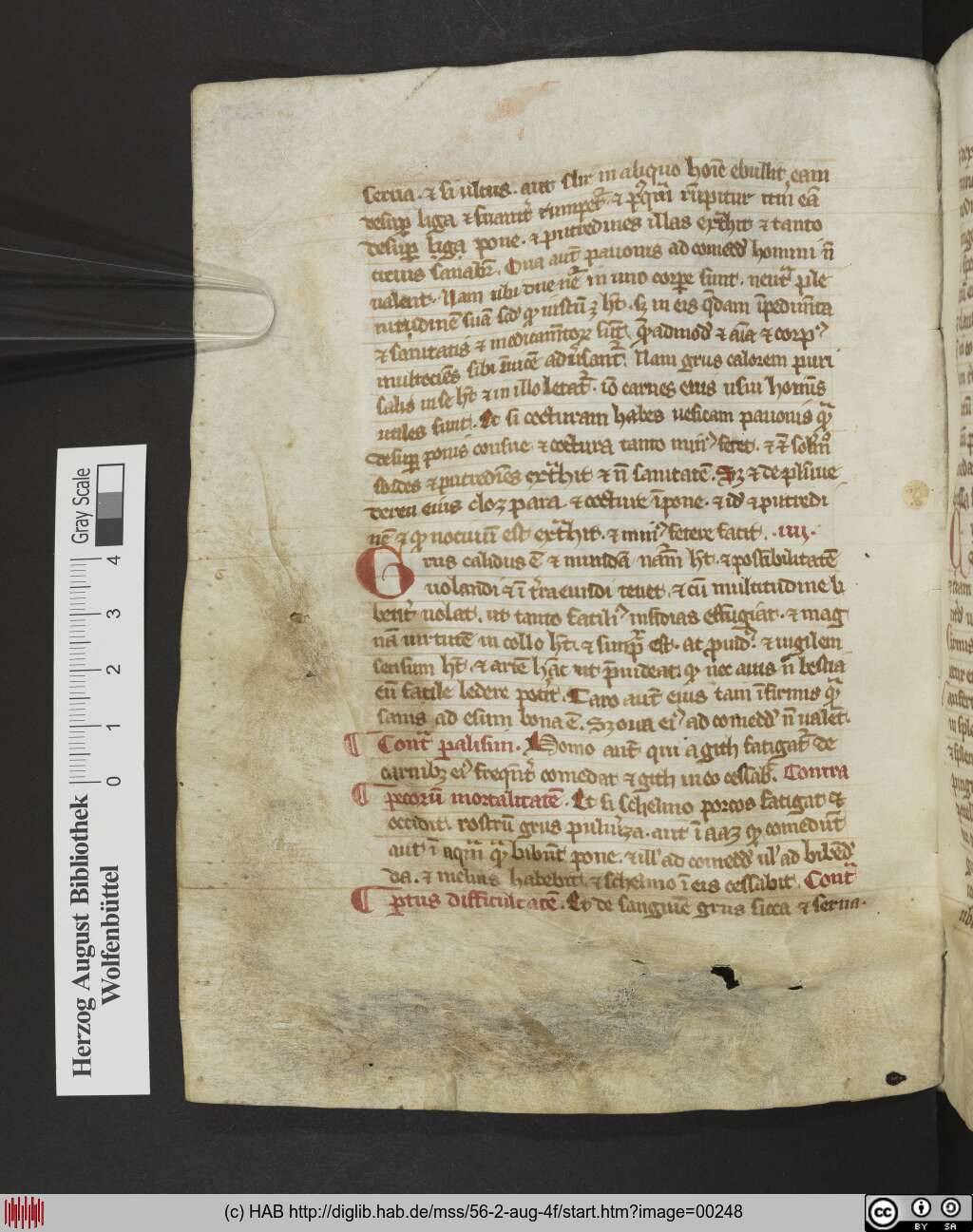 http://diglib.hab.de/mss/56-2-aug-4f/00248.jpg