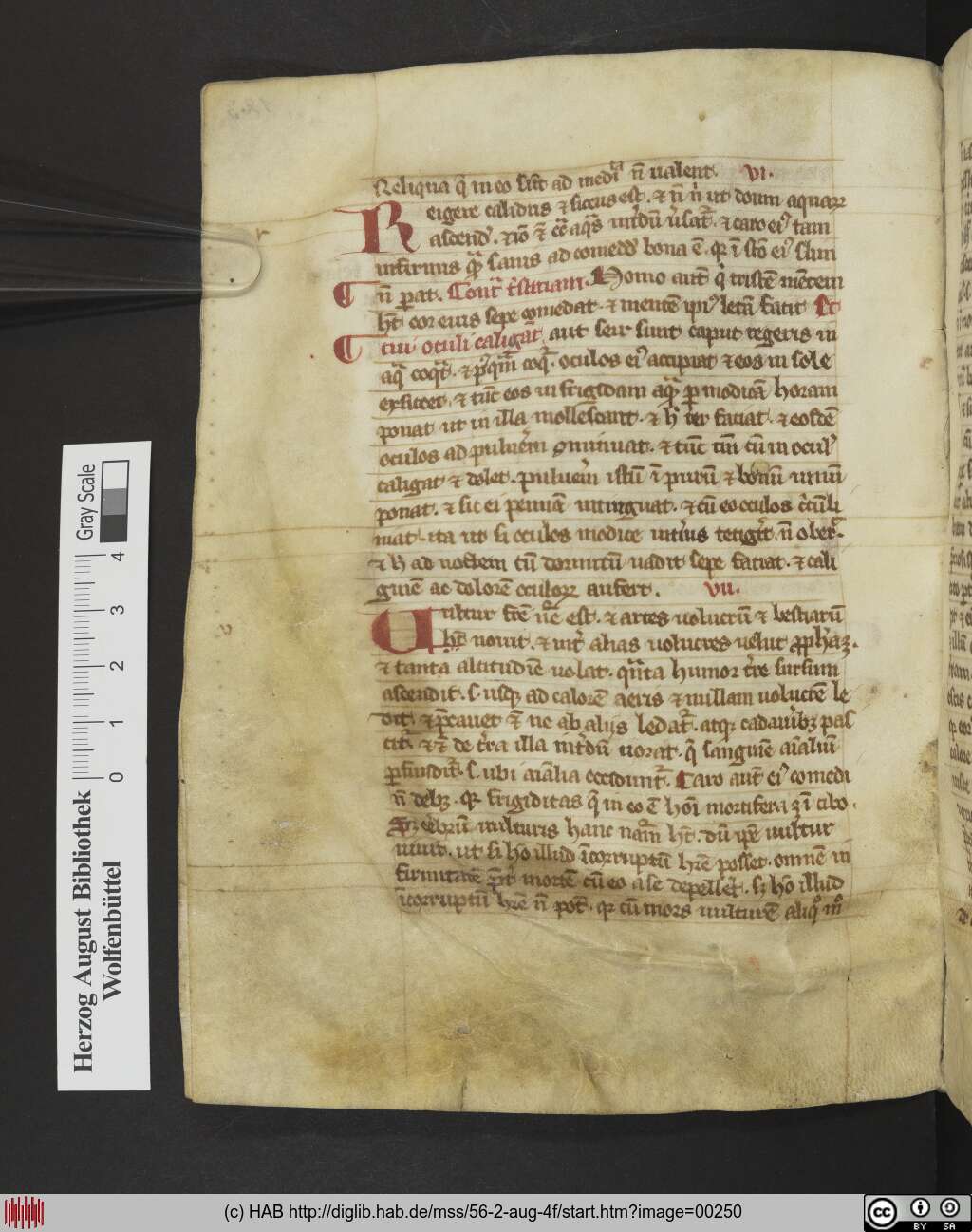 http://diglib.hab.de/mss/56-2-aug-4f/00250.jpg